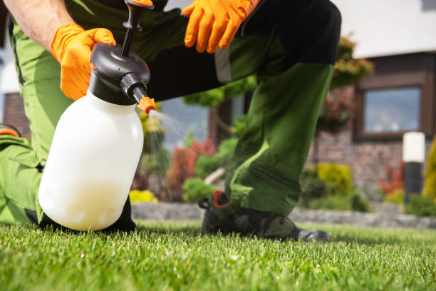 Best Wildlife Control Services  in Vista Santa Rosa, CA