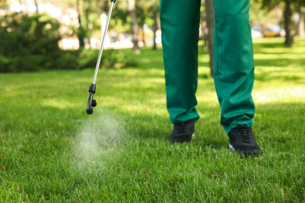 Best Pest Prevention Services  in Vista Santa Rosa, CA