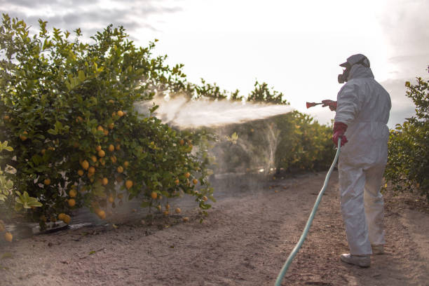 Best Commercial Pest Control Services  in Vista Santa Rosa, CA