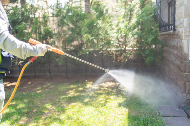 Best Affordable Pest Control Services  in Vista Santa Rosa, CA