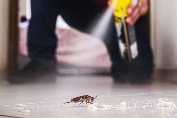 Best Pest Control Near Me  in Vista Santa Rosa, CA
