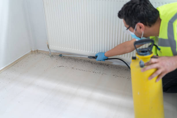 Best Cockroach Control Services  in Vista Santa Rosa, CA